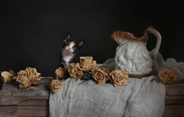 Кошка, взгляд, цветы, поза, темный фон, котенок, стол, доски