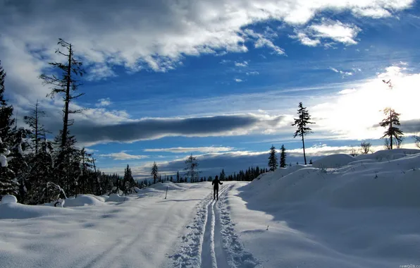 Картинка зима, дорога, небо, облака, снег, деревья, закат, лыжня