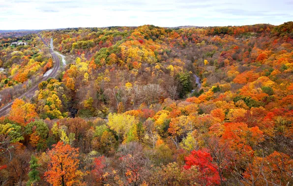 Дорога, осень, лес, деревья, река, рельсы, Канада, Онтарио