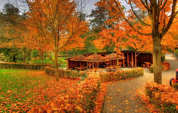 Картинка осень, листья, деревья, парк, Германия, беседка, Заальбургзидлунг