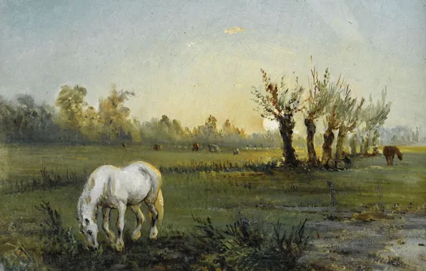 Пейзаж, картина, Camille Pissarro, Камиль Писсарро, Белая Лошадь на Лугу