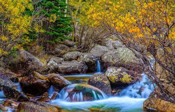 Картинка камни, река, осень, лес, деревья