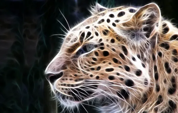 Картинка кошки, обработка, хищник, леопард