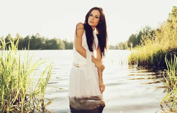Картинка солнце, озеро, камыши, платье, брюнетка, стоит, в белом, в воде