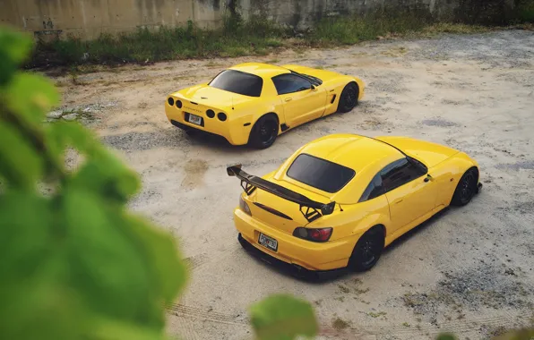 Corvette, Chevrolet, Honda, Car, S2000, Yellow, Rear, Canibeat