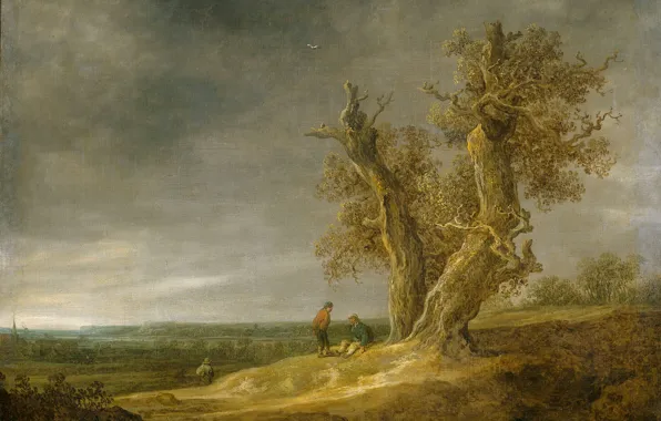 Природа, масло, картина, Ян ван Гойен, Пейзаж с Двумя Дубами