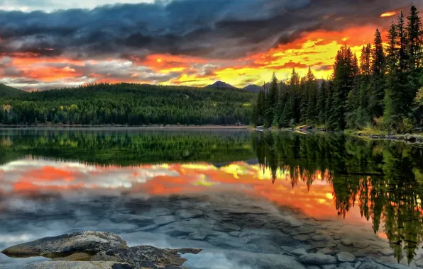 Картинка лес, закат, озеро, отражение, дно, Канада, Альберта, Alberta