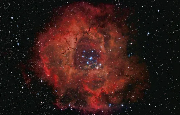 NGC 2237, Туманность Розетка, Rosette nebula