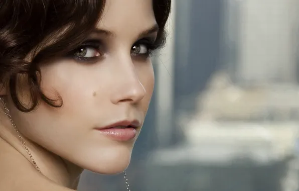 Картинка взгляд, лицо, кино, фильм, актриса, Sophia Bush, Sophia Anna Bush