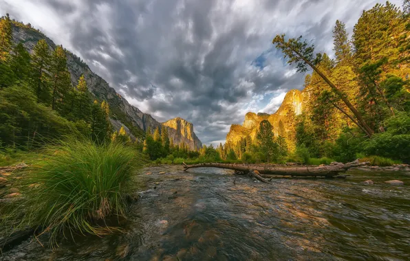 United States, California, Yosemite Village