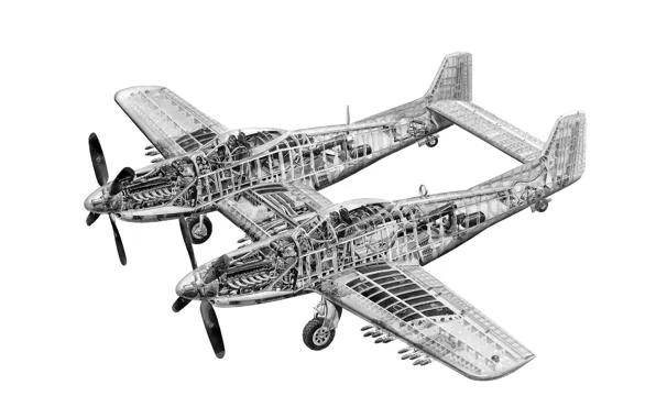 Картинка конструкция, схема, истребитель, Норт Америкэн, двухместный, дальний, F-82, «Твин Мустанг»