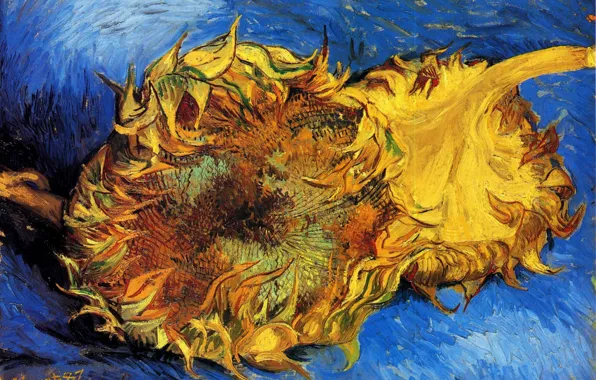 Картинка подсолнух, Винсент ван Гог, vincent87, Two Cut Sunflowers 3