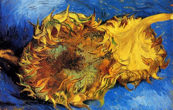 Подсолнух, Винсент ван Гог, vincent87, Two Cut Sunflowers 3