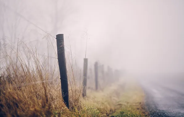 Картинка туман, забор, ДОРОГА