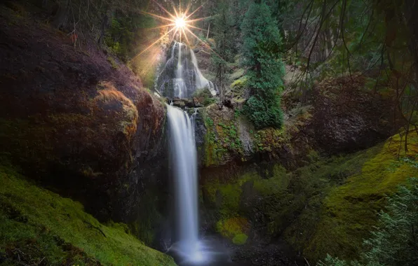 Лес, солнце, природа, водопад, USA, Washington, Falls Creek Falls, Falls Creek