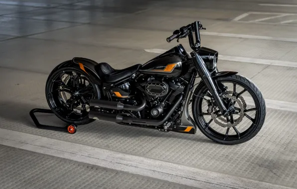 Картинка Harley Davidson, Tuning, Softail, Bikes, Customized, Fat Boy, 114, Thunderbike