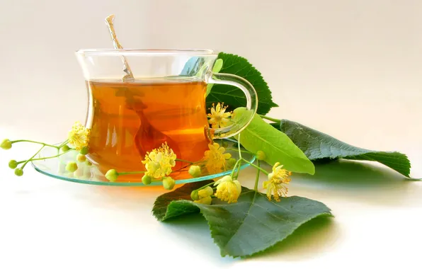 Листья, цветы, чай, чашка, липа