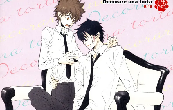Парни, Katekyo Hitman Reborn, Учитель мафиози Реборн, Савада Тсунаёши, Занзас