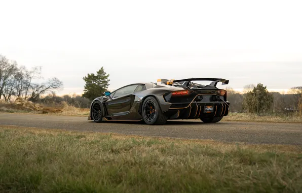 Картинка Lamborghini, Orange, Black, Rear view, Aventador S