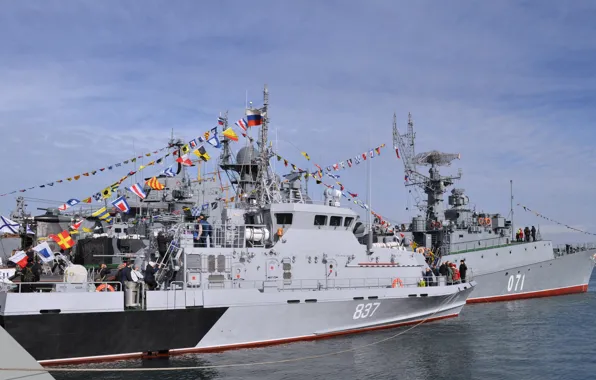 Праздник, катер, флаги, морской, Севастополь, расцвечивания, противодиверсионный, Грачонок