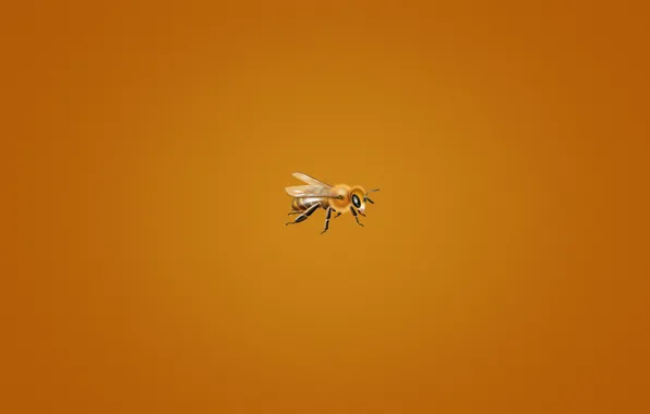 Картинка пчела, минимализм, оранжевый фон, мелкая, bee, пчелка