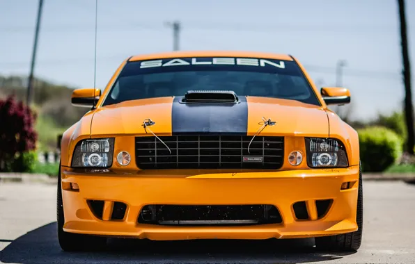 Mustang, Ford, 2008, Saleen, вид спереди, S302, Extreme