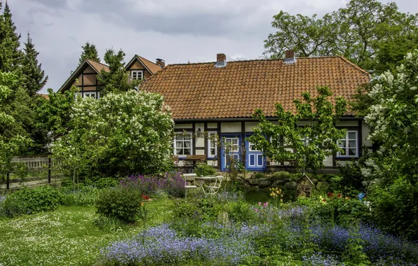 Картинка трава, деревья, цветы, дом, Германия, сад, кусты, Hitzacker