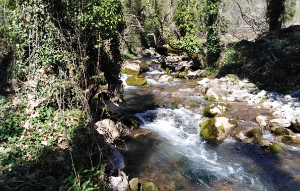 River, bridge, water