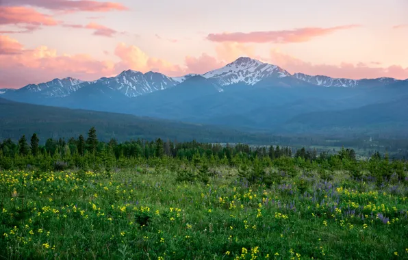 Картинка Rocky Mountains, Colorado, луг, горы, утро, цветы