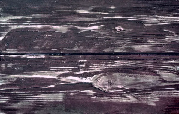 Цвет, структура, древесина, фактура