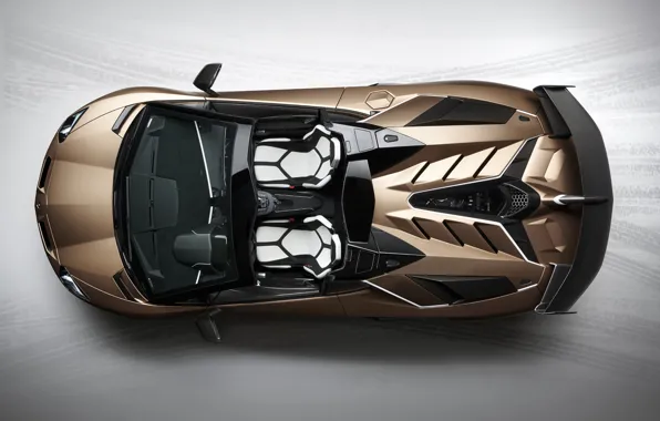 Суперкар, Итальянский, 2019, Lamborghini Aventador S Roadster