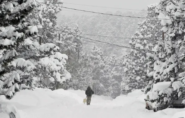 Природа, Зима, Снег, Колорадо, Nature, Winter, Snow, Colorado