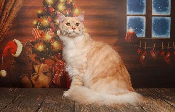 Картинка кошка, кот, рыжий, Новый год, ёлка, котейка, Мейн-кун, Наталья Ляйс