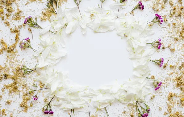 Цветы, лепестки, white, flowers, декор, decoration, border