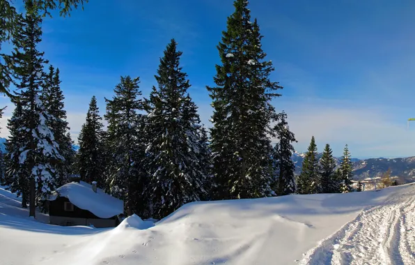 Картинка зима, лес, небо, снег, деревья, дом, ель
