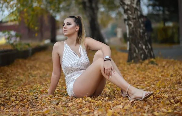 Девушка, секси, листва, ножки, красотка, Lea, Ivan Niznicki