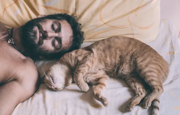 Картинка кошка, отдых, сон, мужчина, борода