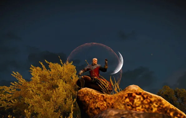 Ведьмак, The Witcher, Геральт, The Witcher 3 Wild Hunt