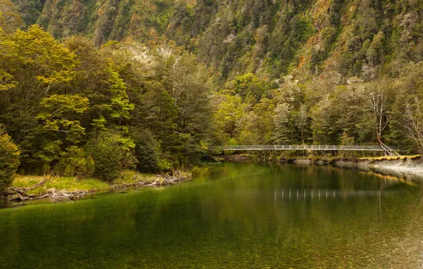 Деревья, горы, мост, река, Новая Зеландия, Fiordland National Park, Clinton River