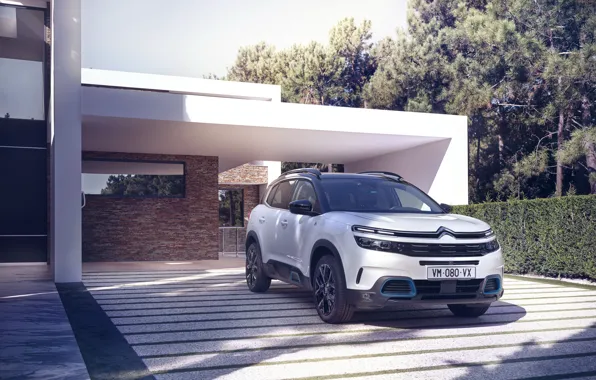 Авто, солнце, тень, сосны, Citroen, Hybrid, Aircross