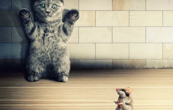 Кошка, котенок, пистолет, стена, мышь, руки вверх