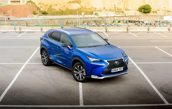 Lexus, F-Sport, 300h