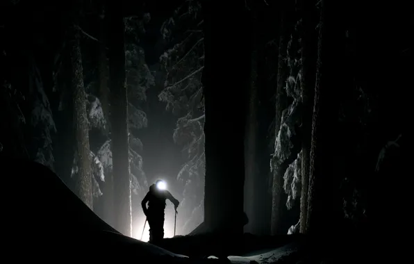 Картинка зима, лес, свет, тьма, человек, мистика, прожектор