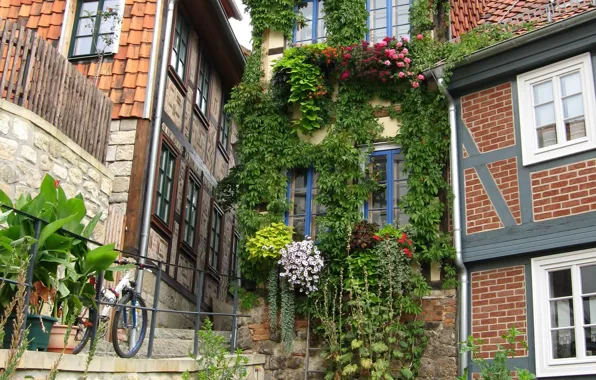 Картинка велосипед, city, город, здания, дома, Германия, цветочки, Germany