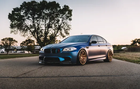 Bmw, blue, F10, M5