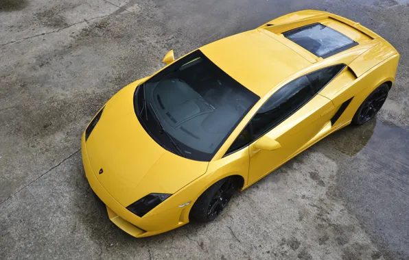 Желтый, Lamborghini, Gallardo, Yellow, ламборгини, LP560-4