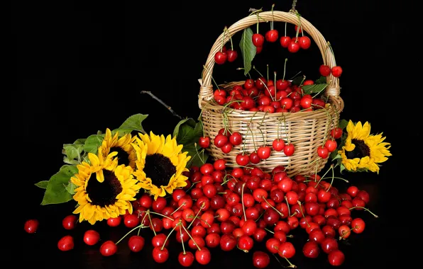 Картинка цветы, вишня, ягоды, подсолнух, лепестки, натюрморт, корзинка, черешня