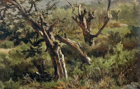 Картинка трава, пейзаж, горы, дерево, картина, склон, Карлос де Хаэс, Лес в Альсасуа