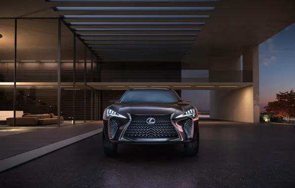 Фары, лексус, SUV, LEXUS, LEXUS UX