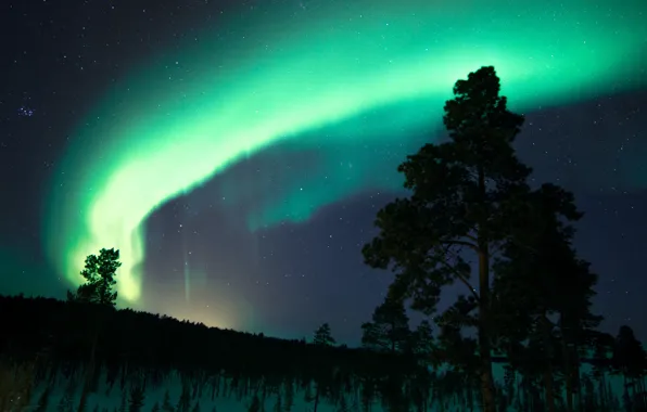 Картинка небо, звезды, снег, деревья, ночь, северное сияние, Финляндия